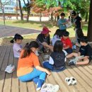 횡성초등학교 이미지