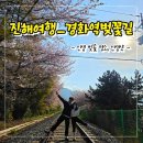 참새&허수아비 | [진해 여행] 경화역 벚꽃길 포토존 인생 샷 4월 벚꽃 명소였다