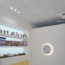 올데이독 이미지