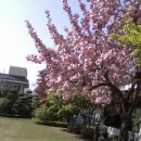 송림가든 이미지