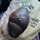 02. 목포 영현빵집 소금빵