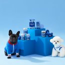 반려라이프 이미지