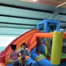 시골바이브 이미지