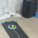 퍼팅 | [실내골프매트로 퍼팅 거리감 잡는 방법] 위너스 컴퍼니 심플 라인 골프퍼팅매트 후기
