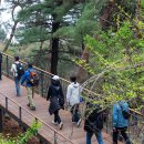 작은나무 큰숲도서관 이미지