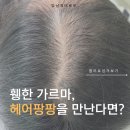 헤어팡팡 이미지