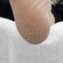 네일디바&레푸스 건대점 이미지