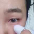 닥터셀케이