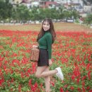 ADVANCE 이미지