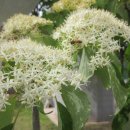 광산특수어린이집 이미지