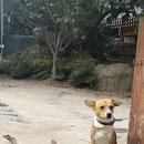 경주한옥펜션계림궁