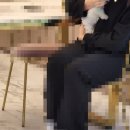 하이엔드 독 이미지