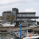 돌고래하우스 | 제주 돌고래투어 어디 갈까? M1971 요트투어 솔직 후기