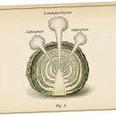 달콤한 아침 이미지