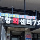 7호점 | 포항회센터 7호점 물회 내돈내산 이용후기