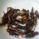 금오식당 이미지