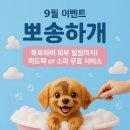 뽀송하랑 이미지