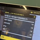 광혜원 맛집 막회랑 돈이랑 후기 (대광어 막회, 오징어 초무침 후기)
