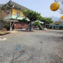 새자연공인중개사사무소 이미지