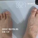 라인피티 | 핑크힙응비 라인온피티 한달 듣고남기는 후기