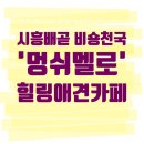 배곧프라자 | 시흥 배곧 애견카페 멍쉬멜로 후기｜비숑 천국에서 두시간 힐링하고 왔어요🐶