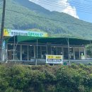 송정 | 계곡 물놀이 경남 추천 산청 송정숲