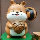 앤카페 | 강릉 이색 체험 신상 카페 추천 - 강릉 앤 솔 카페 후기