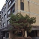 서울장충초등학교