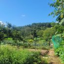 개곡리농장 이미지