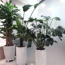 은평탑내과의원 이미지