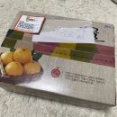 야솔농장 | 제주감귤 이제 제주한라야로 택배 받아보세요