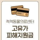 척척 동물의료센터 네이버블로그