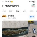 현대전문카클리닉 이미지