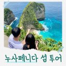 코리나투어 | 누사페니다 섬 투어 후기 🌊