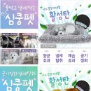 와이디컴퍼니 이미지