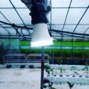 영자농장 이미지