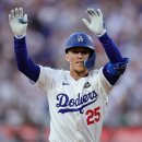 토미코리아 이미지