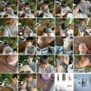 문성로1길(중3-151) | 한여름에 다녀온 태안여행 : 커플스테이 숙소, 바다야 해물아, 신두리 해안사구