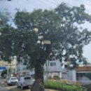 동부천1교 이미지