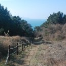 새천년기념공원 티스토리