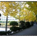 백암고등학교 이미지