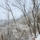 코스빈