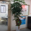 복음보청기 강동센터 이미지