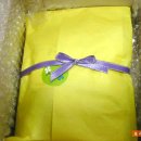 까비애견 이미지