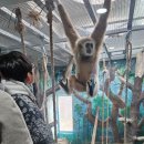 서천-7 | 서천 에코리움| 34개월,7개월 아이들과 직접 다녀온 후기-겨울에도 괜찮을까?