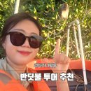 반딧불마트 | 코타키나발루 반딧불투어 비 여행 가격 예약 모기후기