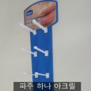 하나후크 네이버블로그