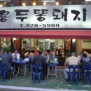 용두똥돼지