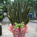 세명병원장례식장 이미지