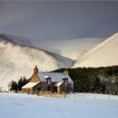 정통식당 이미지